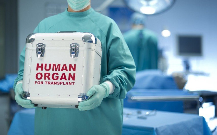 Bu ilin altı ayında icbari tibbi sığorta təminatı ilə 80 orqan transplantasiyası əməliyyatı icra olunub