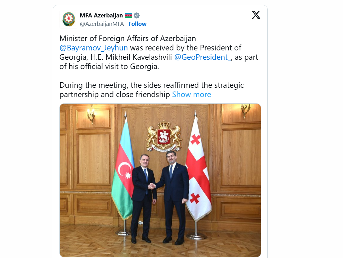 Ceyhun Bayramov Gürcüstan Prezidenti ilə görüşüb