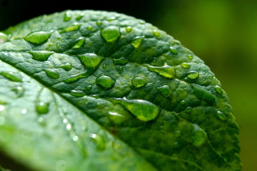 Alimlər çöküntülərdə trifluoroasetik turşunun yüksək konsentrasiyası barədə xəbərdarlıq ediblər