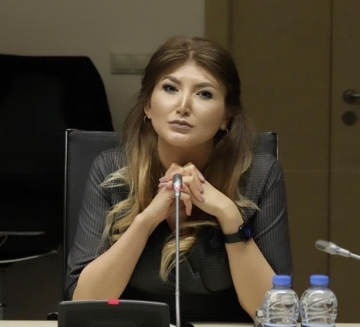 Jurnalist Ülkər Piriyeva -  “Azərbaycan Polisi – Milli Dəyərlərin Keşikçisi”