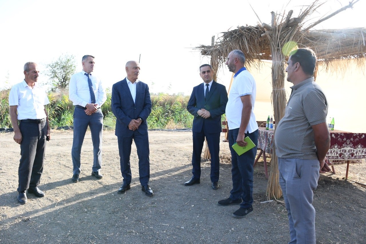 Masallıda rayon rəhbəri Qızılağac ərazisində əkin sahələrinə baxış keçirib