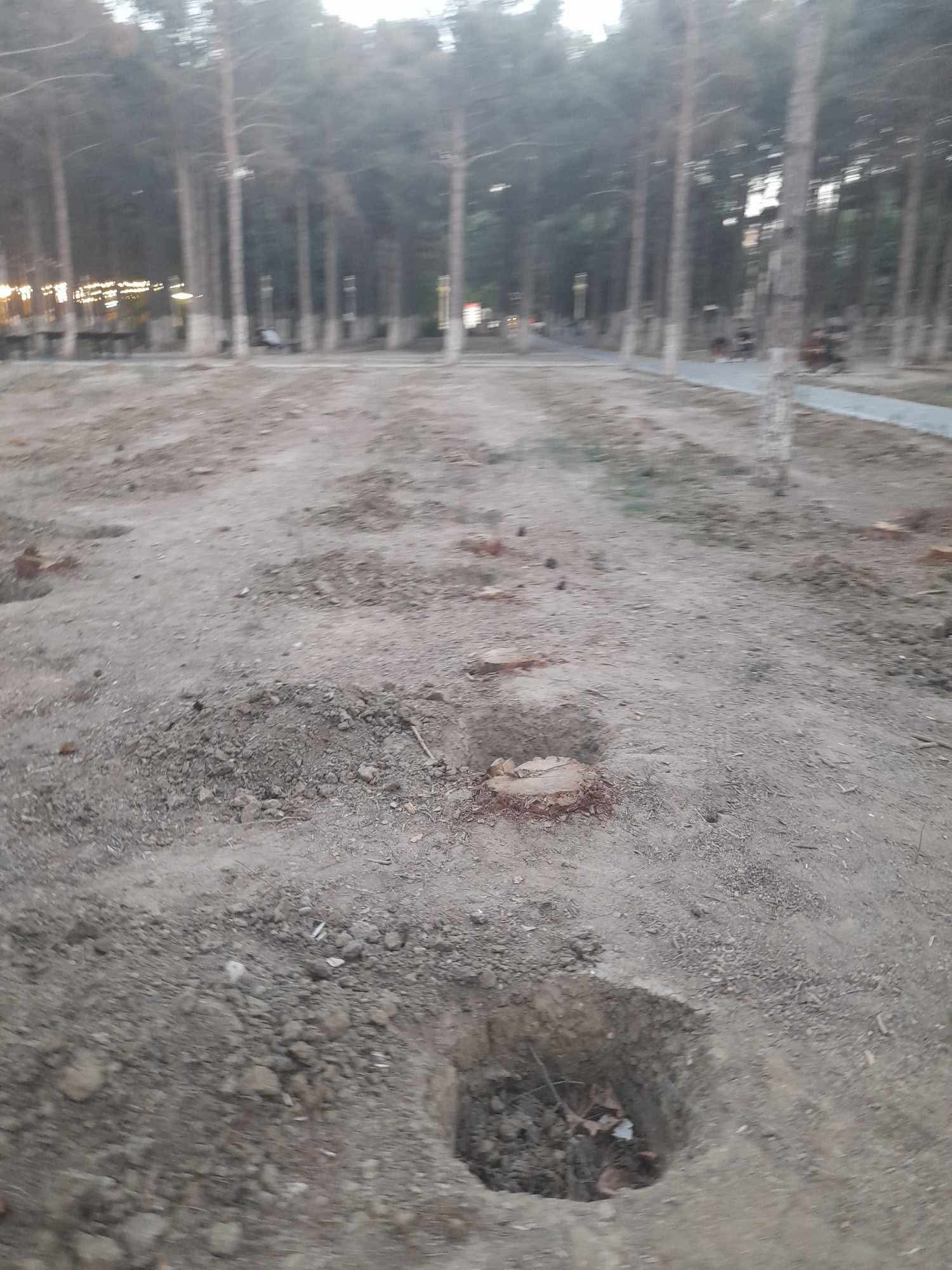 Xırdalanda Heydər Əliyev adına park işğal altında – Yaşıllıq məhv edilir (Fotofakt)