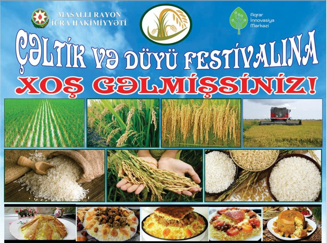 “Çəltik və Düyü festivalı” ilə əlaqədar - ELAN