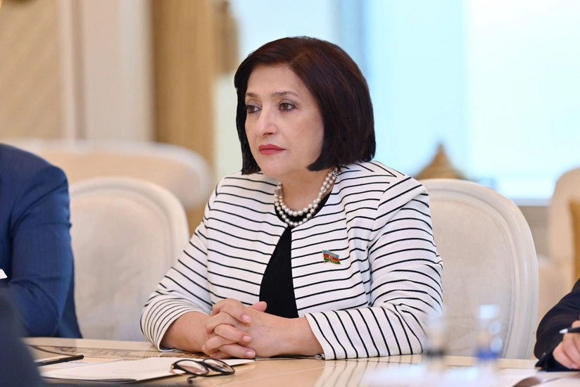 Sahibə Qafarova: Azərbaycan-Serbiya münasibətlərinin inkişafı üçün böyük potensial var
