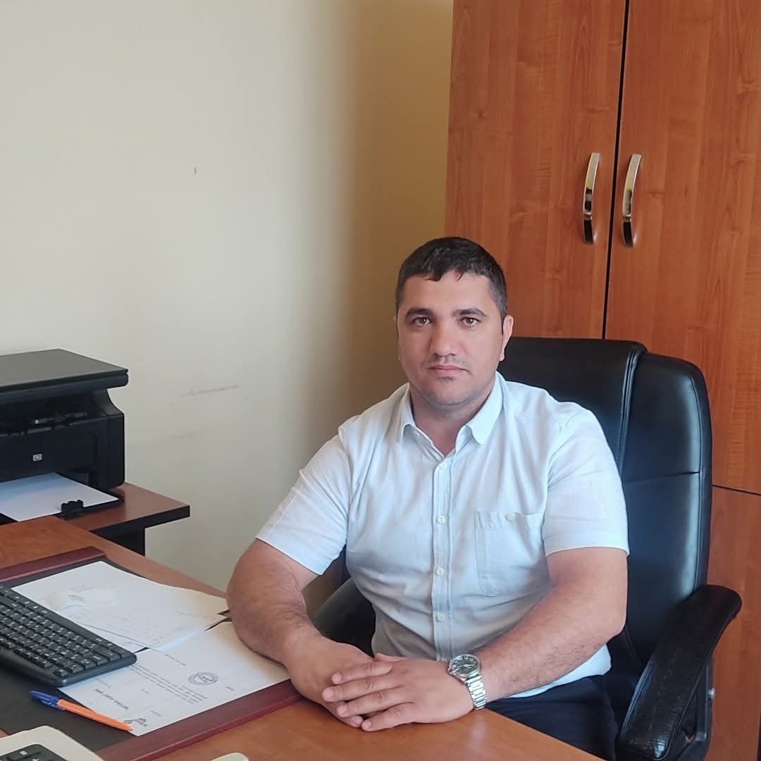 Əmək bazarının öyrənilməsində statistik qiymətləndirmə və təhlillərin rolu