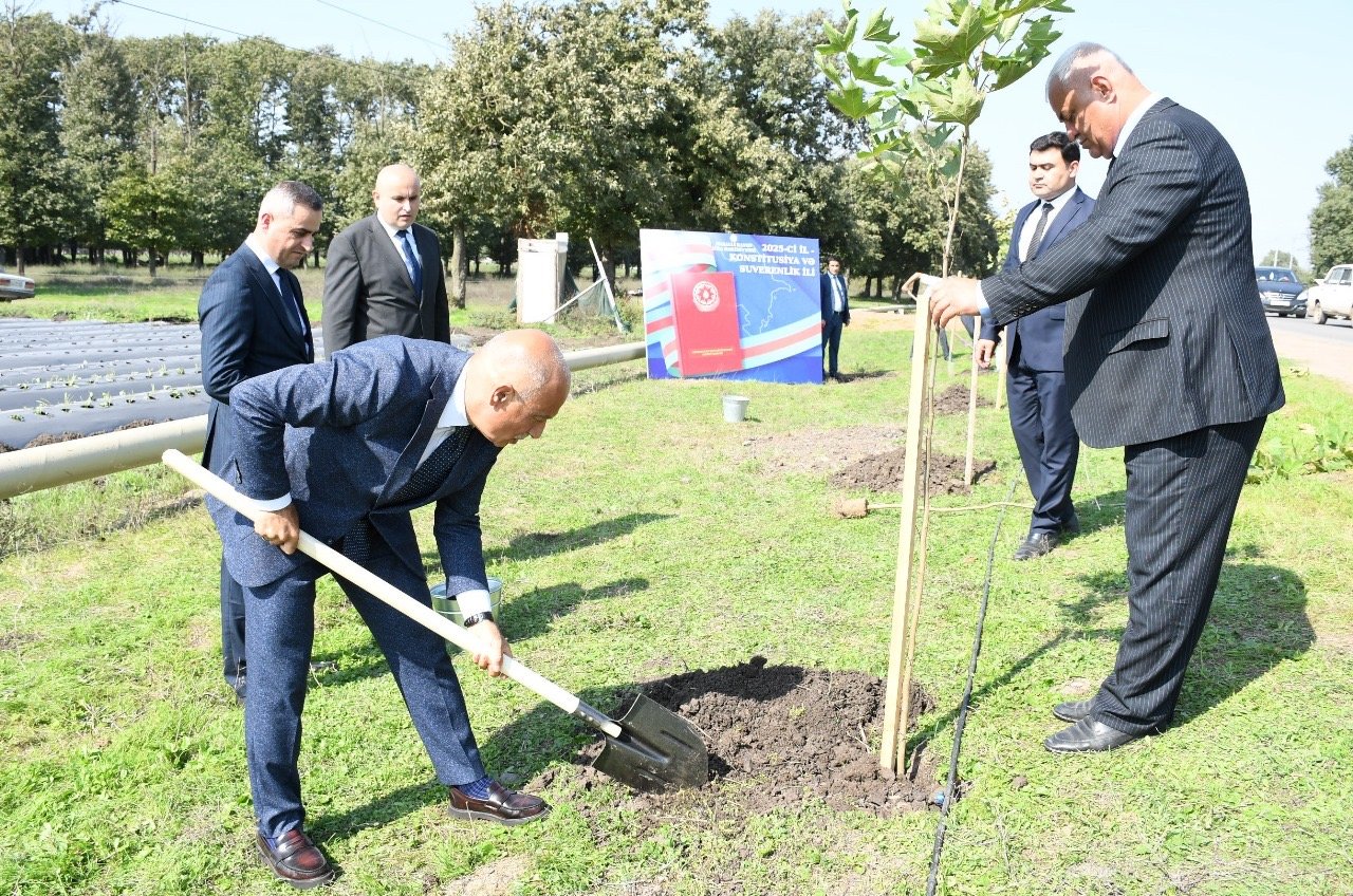 “Konstitusiya və Suverenlik ili” ilə əlaqədar ağacəkmə aksiyasl keçirildi