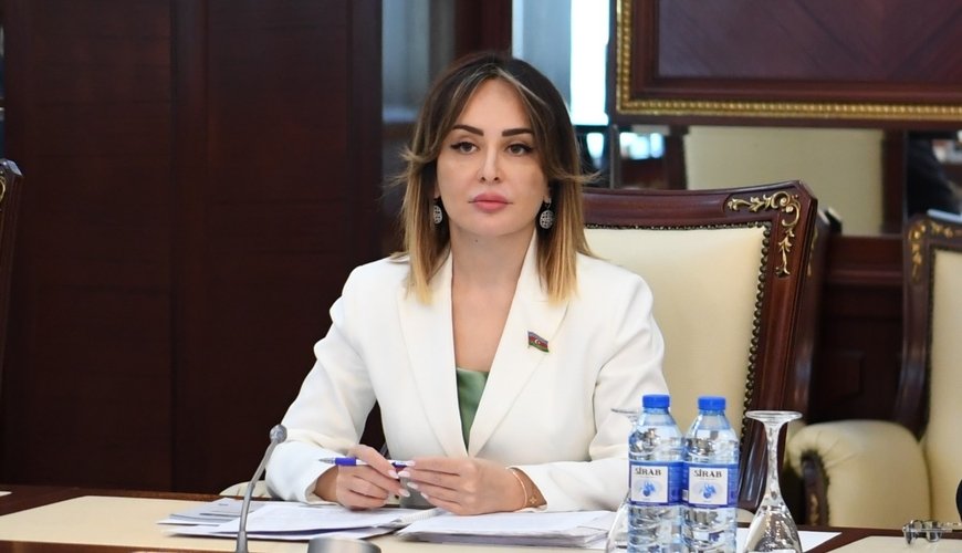 Dövlət xidmətləri haqqında qanuna niyə ehtiyac yaranıb? - Deputat izah etdi
