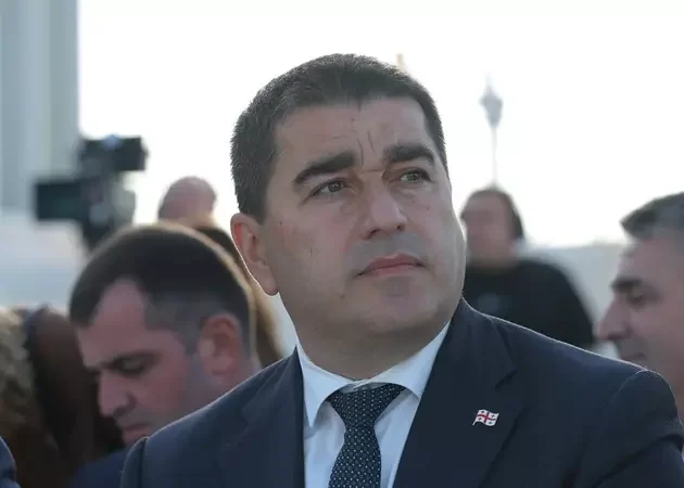 Gürcüstanda ATƏT sədrini vəzifəsindən getməyə çağırıblar