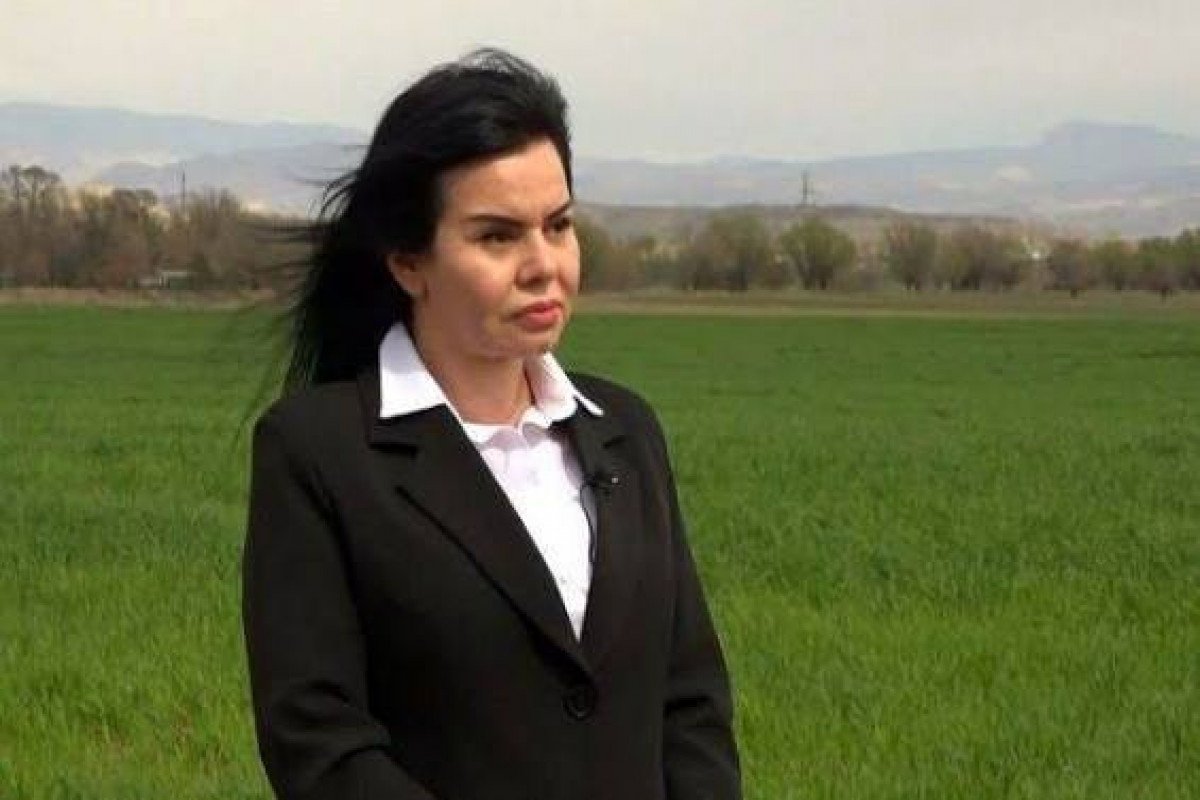 Naxçıvanda nazir müavini vəzifədən çıxarılıb 