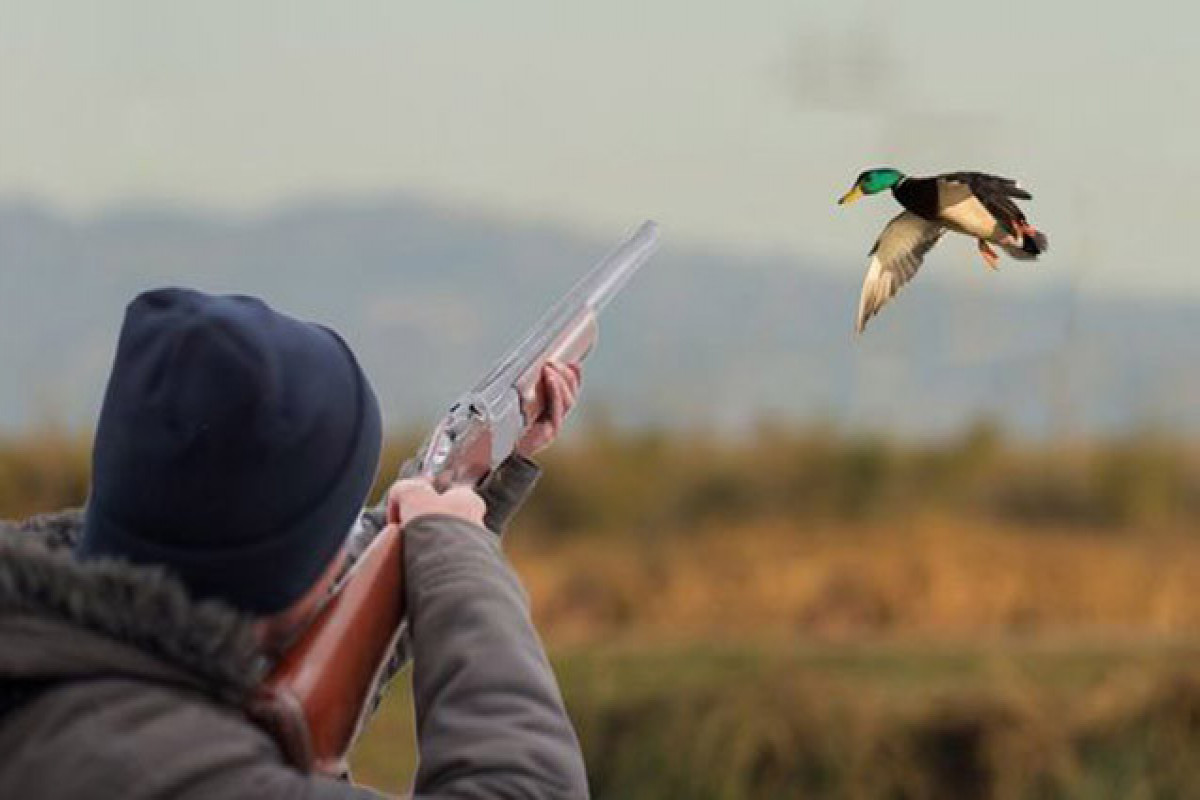 Astarada qanunsuz ov edən şəxslər saxlanılıblar