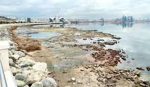 Xəzərdə ekoloji fəlakətin qarşısının alınması üçün vəsait ayrılması təklif olunur