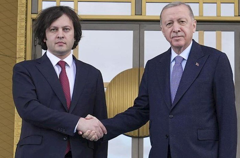 Ərdoğan Kobaxidze ilə təyyarə qəzasını müzakirə edib