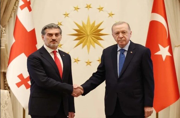 Türkiyə və Gürcüstan prezidentləri təyyarə qəzasını müzakirə ediblər