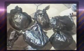 Baş İdarə əməliyyat keçirib, 6 nəfər saxlanılıb, 21 kq marixuana aşkarlanıb