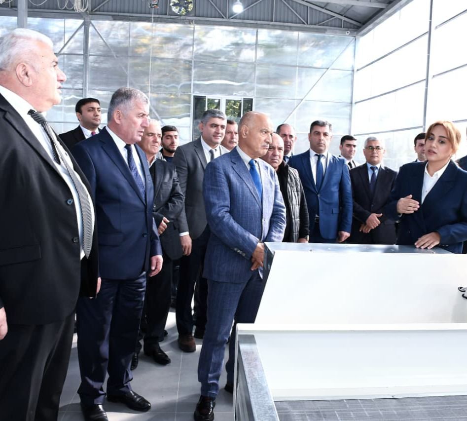 Masallıda Aqrar İnkişafa Həsr Olunan Zona Müşavirəsi: Gələcəyə Strateji Baxış