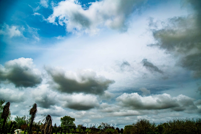 Bazar gününün havası açıqlanıb 