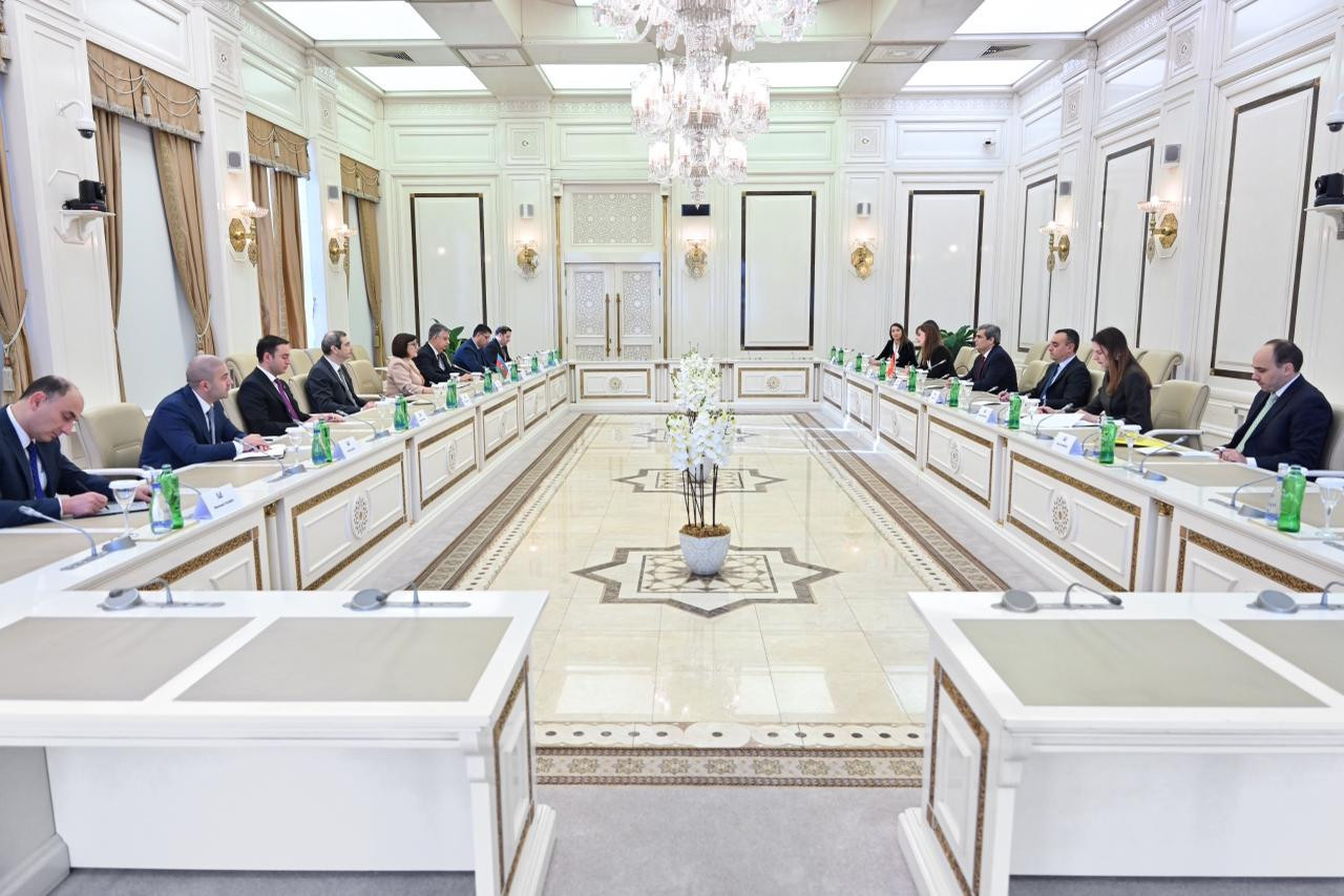 Sahibə Qafarova Monteneqro XİN rəhbəri ilə görüşüb