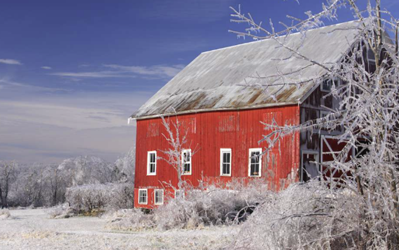 Yanvarda hava necə olacaq? 