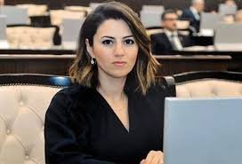 Sevinc Fətəliyeva: Avropa Şurasında qəbul edilən qətnamələr təzyiq alətinə çevrilib