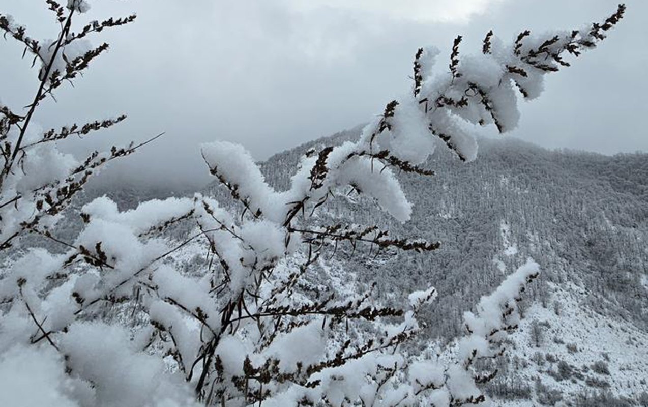 Qar yağacaq, yollar buz bağlayacaq