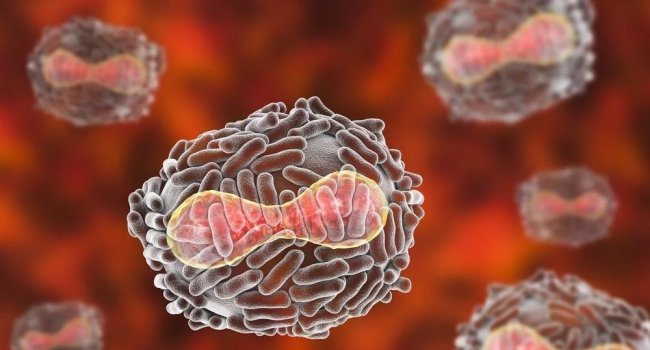 Yaponiyada yeni virus aşkarlanıb