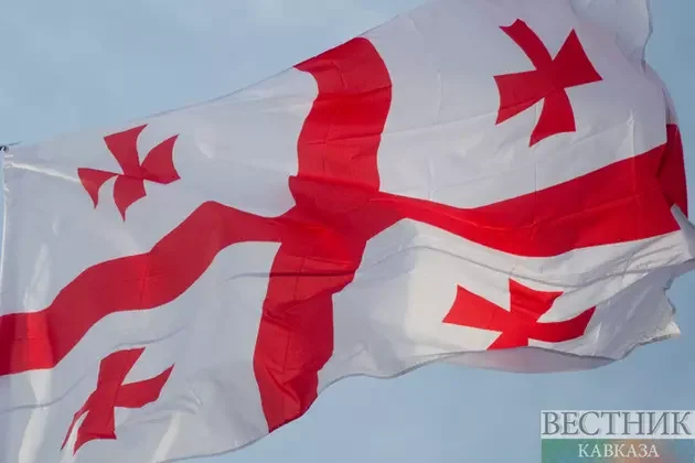 Kobaxidze bildirib ki, Aİ Gürcüstana münasibətdə ikili standartlara malikdir