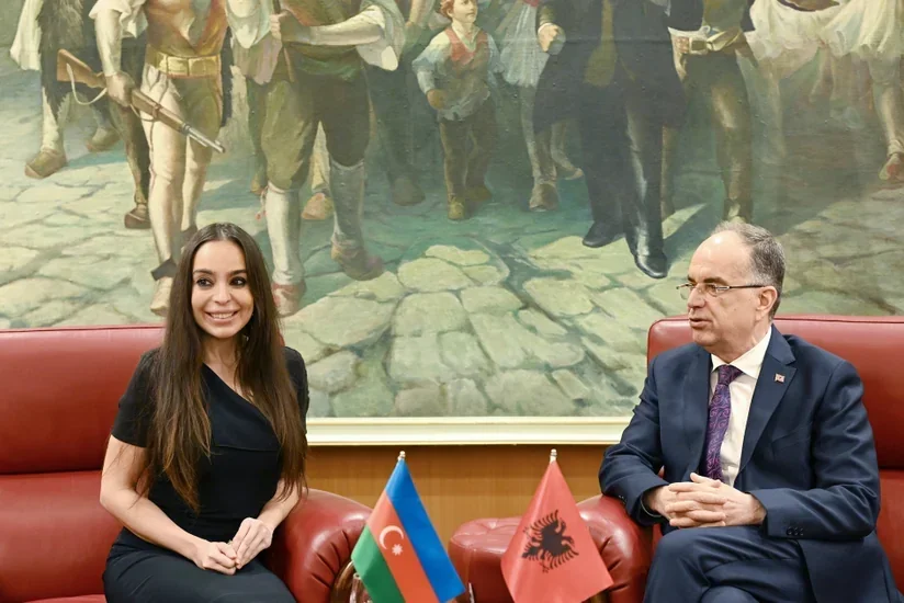 Professor: Onun səfərləri siyasətimizə yeni töhfələr verir