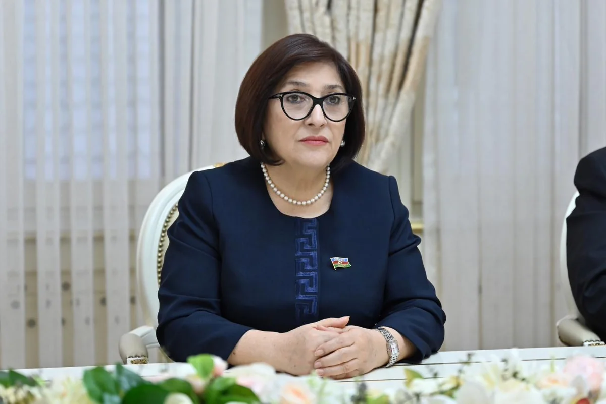 Sahibə Qafarova TBMM-nin Xarici əlaqələr komitəsinin sədri ilə görüşüb