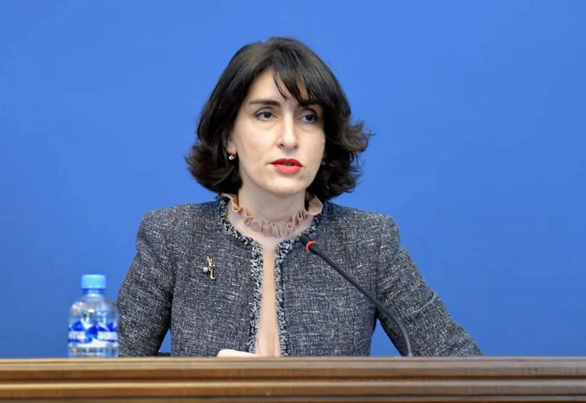 Boçorişvili: Gürcüstanı regional layihələrdən kənarlaşdırmaq mümkün deyil 