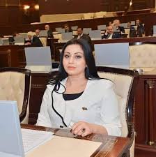 Naxçıvanın deputatı: "Naxçıvanın dronla vurulması narahatlıq doğurur"