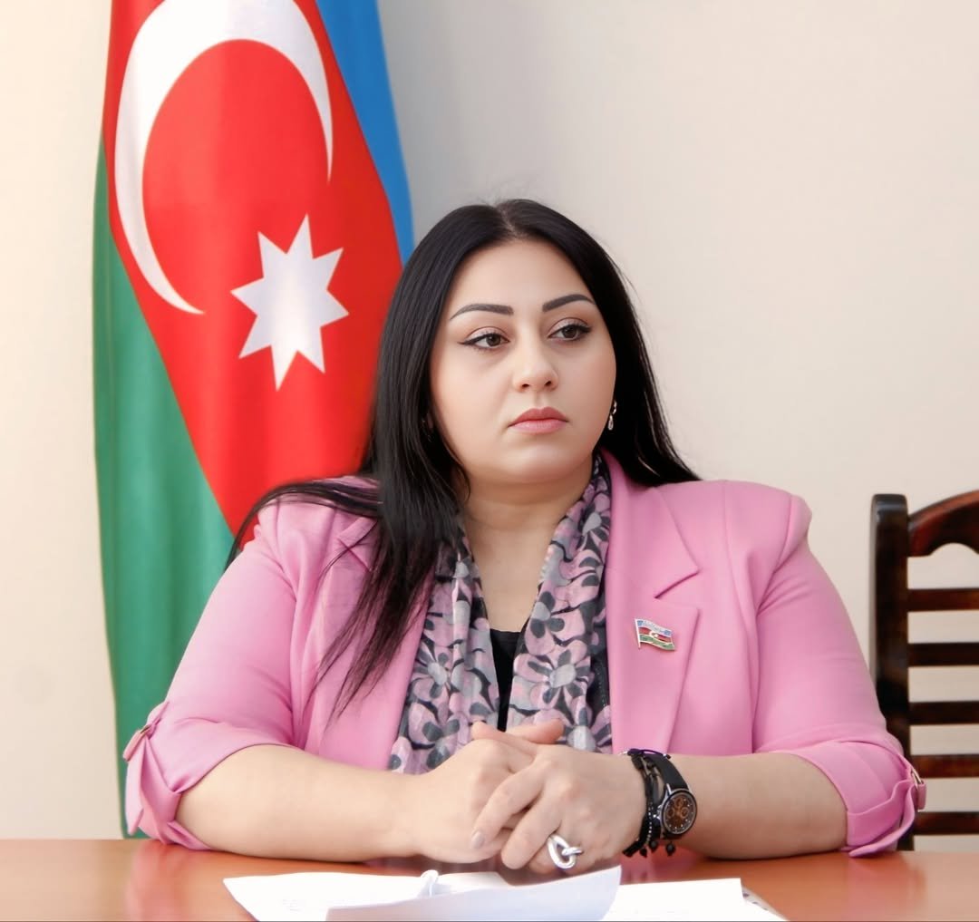 eputat: Naxçıvanın idarəetmə sistemində konstitusion yenilənmə mühüm addımdır