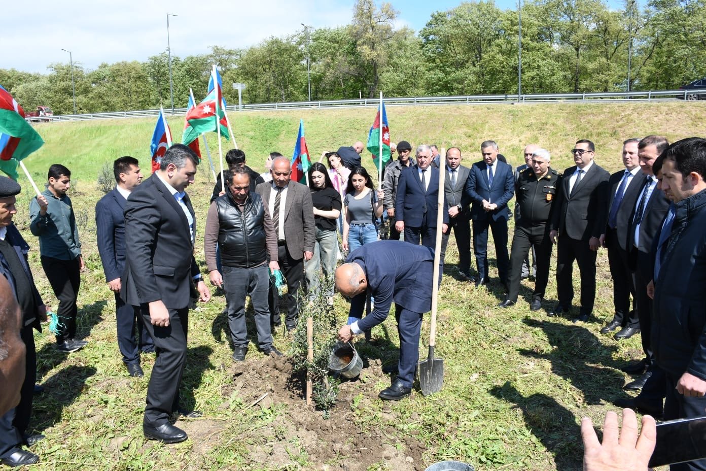 Masallıda “Şəhərsalma və Memarlıq ili” çərçivəsində növbəti ağacəkmə aksiyası keçirildi