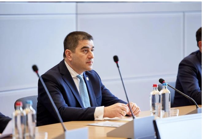 Papuaşvili: Xarici müdaxiləyə qarşı beynəlxalq hüquqi çərçivə yaradılmalıdır