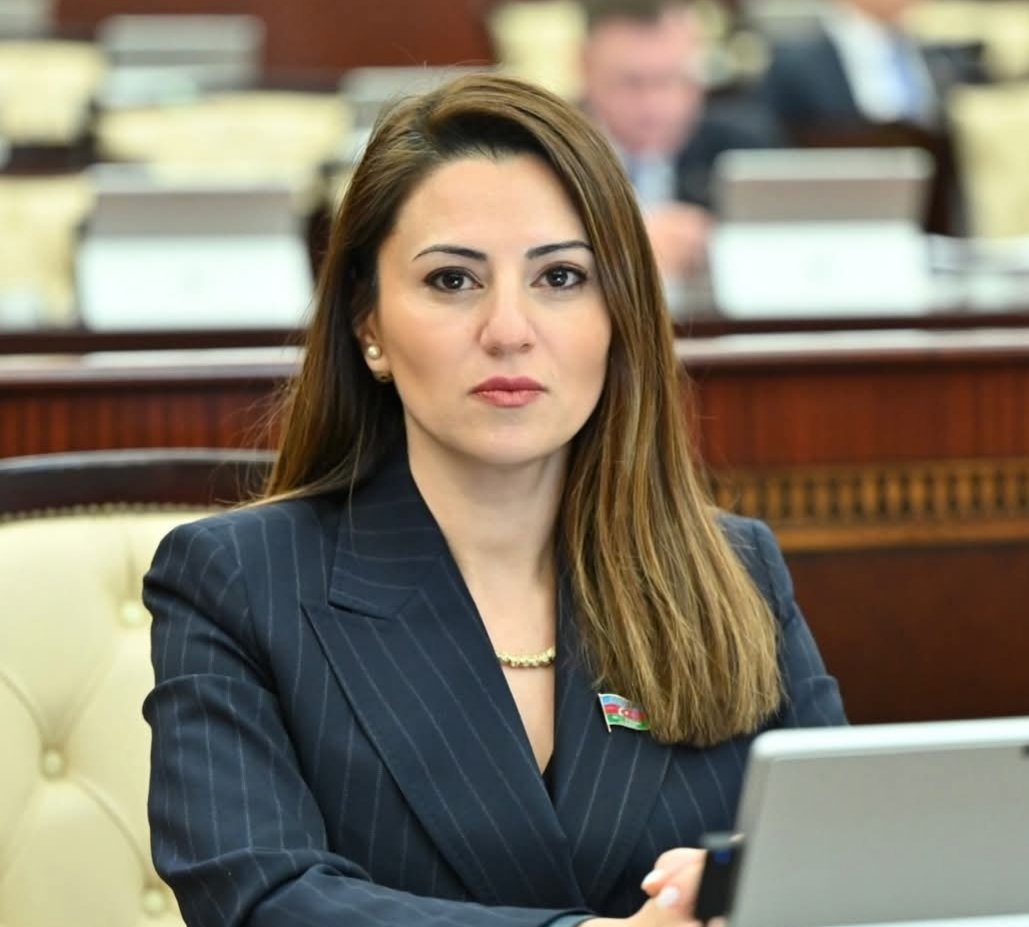 Deputat: TikTok-da müəllimlərin təhqir edilməsi cəmiyyət üçün təhlükəli tendensiyadır