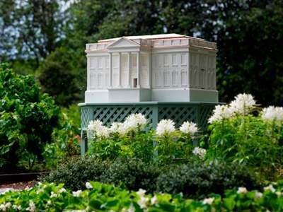 MELANİYA TRAMP BAL İSTEHSALINI ARTIRMAĞI HƏDƏFLƏYİR