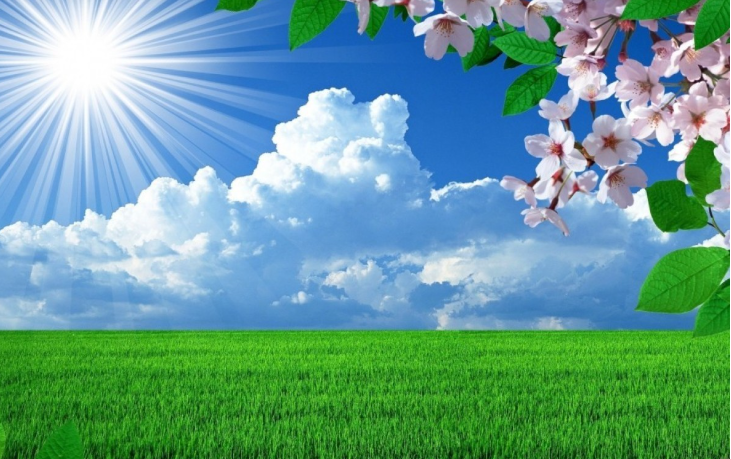 “İqlim haqqında” qanun layihəsi hazırlanıb 