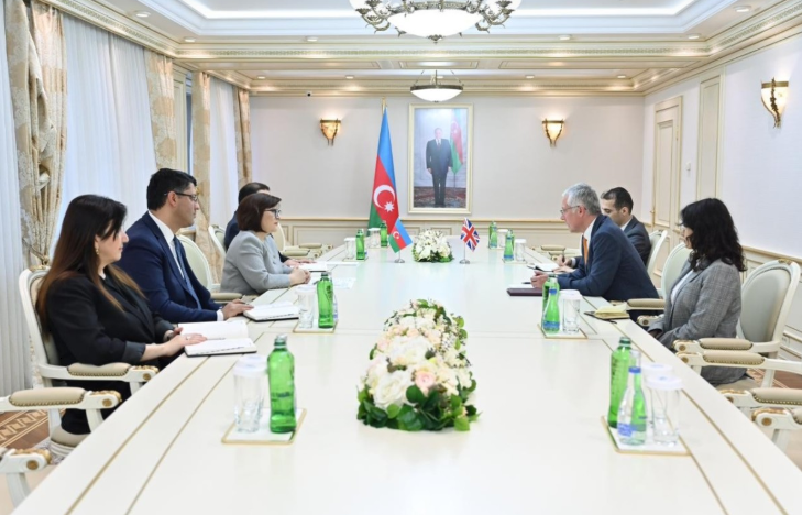 Milli Məclisin sədri Britaniya səfiri ilə görüşüb