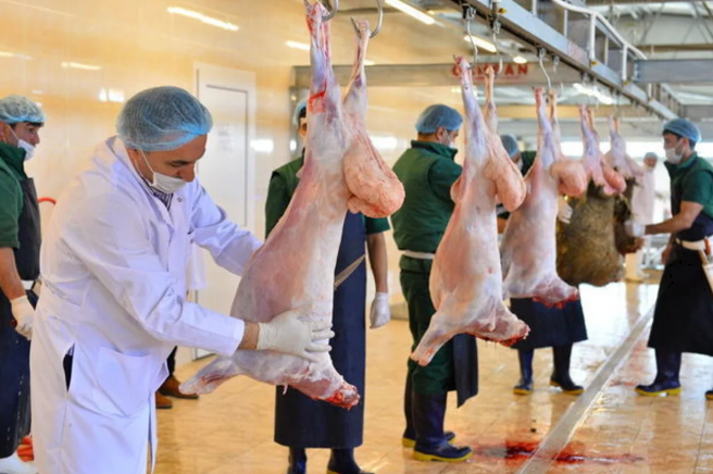 Qurban bayramı ilə bağlı təhlükəsiz heyvan kəsimi və satışına nəzarət gücləndirilib 