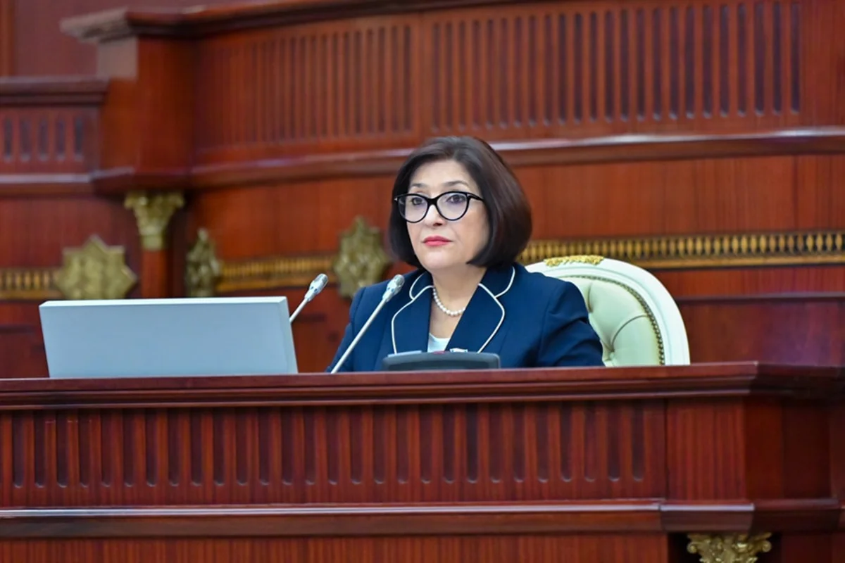 Sahibə Qafarova: "Qadınların iqtisadiyyatla məşğul olması daha məqsədəuyğundur"