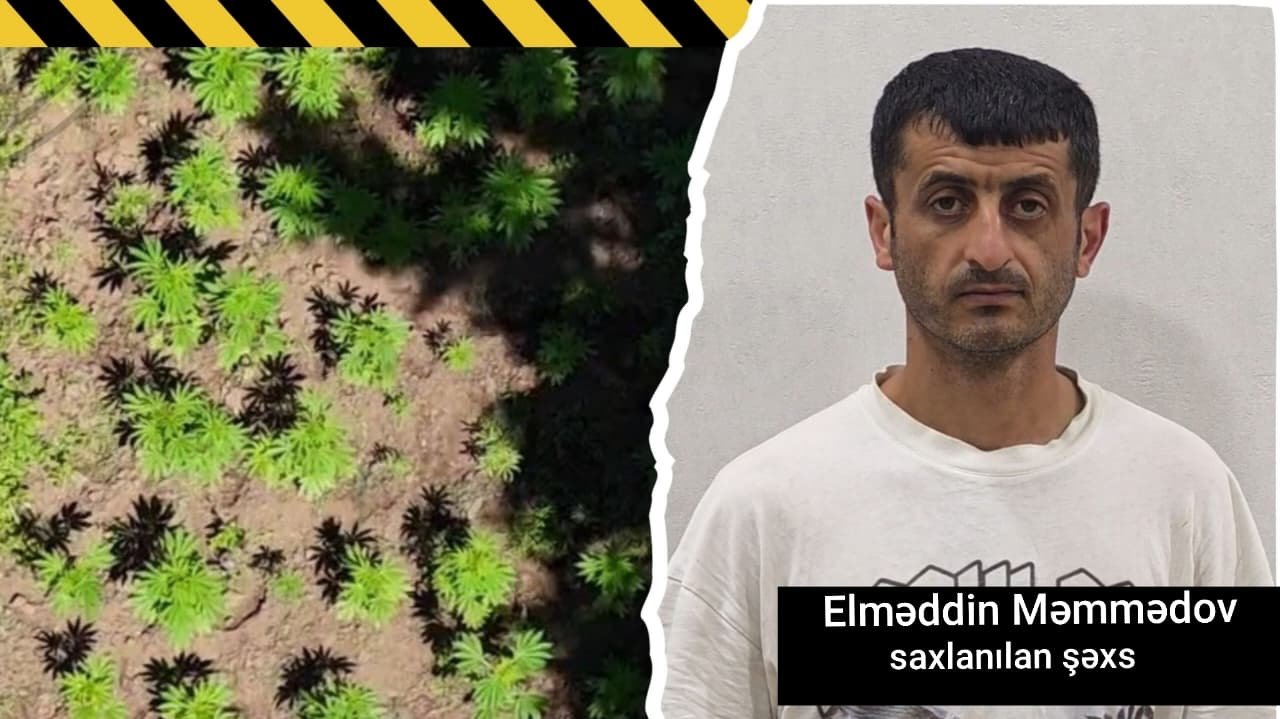 Astara Rayon Polis Şöbəsinin əməkdaşları tərəfindən narkotik tərkibli bitkilərin kultivasiyasına qarşı əməliyyat keçirilib