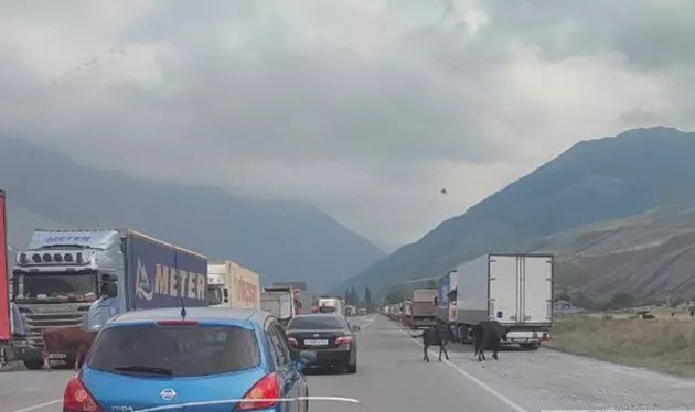 Qazaxıstan və Özbəkistan sərhədində iki keçid məntəqəsi 24 saat fəaliyyət göstərəcək