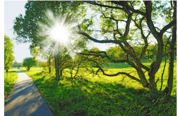 Sabah Azərbaycanda 35 dərəcə isti olacaq 