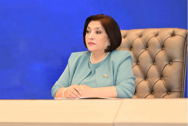 Sahibə Qafarova: Silahlı münaqişələr zamanı ətraf mühitin qorunması təkcə ekoloji problem deyil