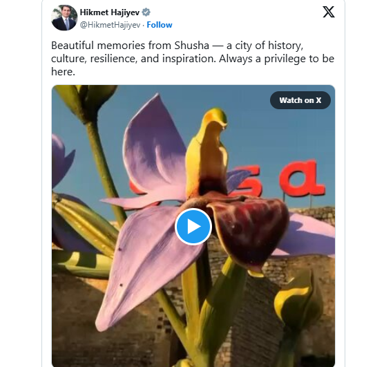 Hikmət Hacıyev: Şuşa mədəniyyət və ilham şəhəridir
