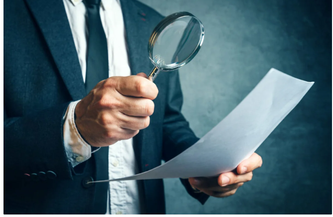 ARDNF 3 illik auditor seçir