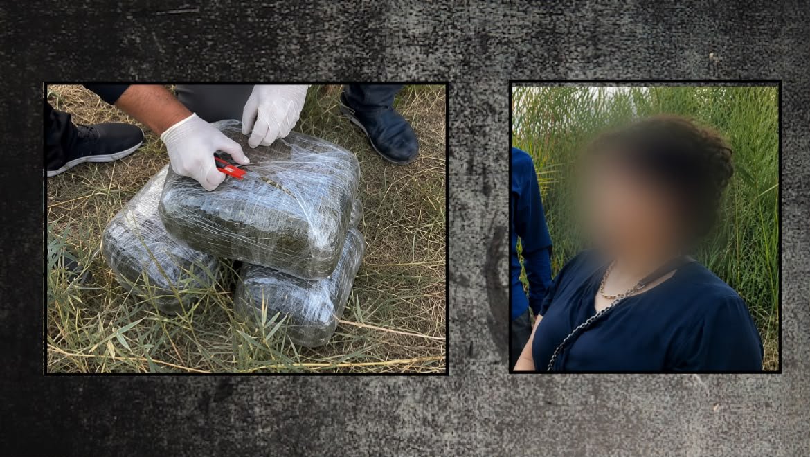 İmişlidə 10 kiloqram narkotik vasitə aşkarlanıb
