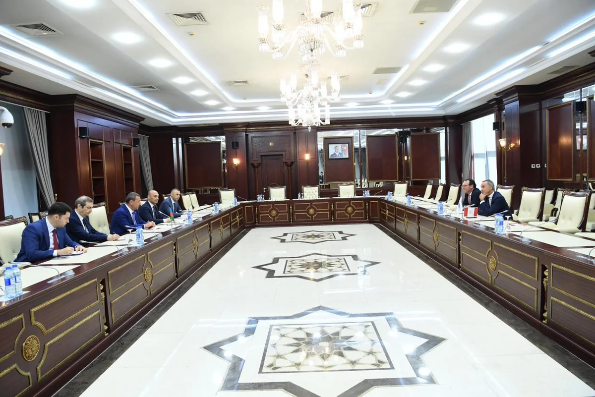 Səməd Seyidov və ATƏT PA-nın prezidenti Cənubi Qafqazda sülh prosesini müzakirə ediblər