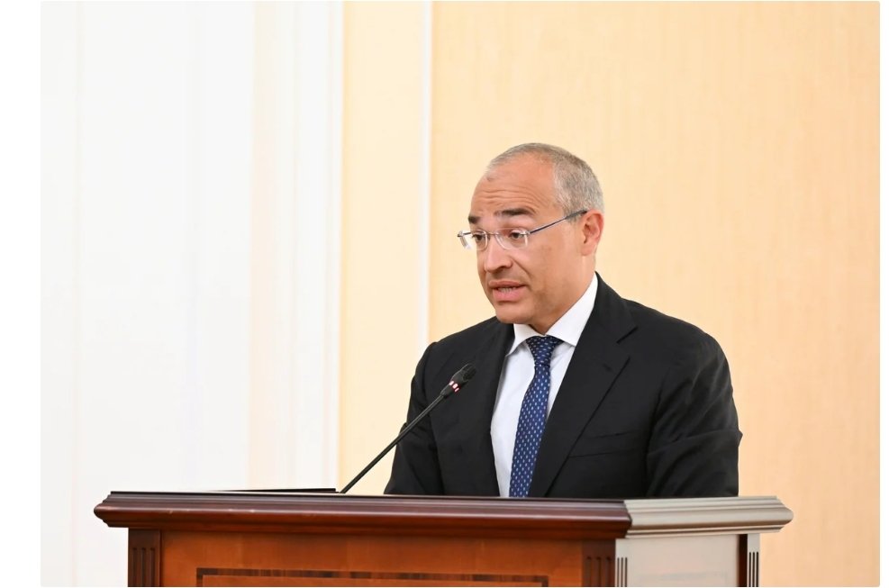 Nazir: "Yanaşmamız xammalı daha çox emal etməkdir" 