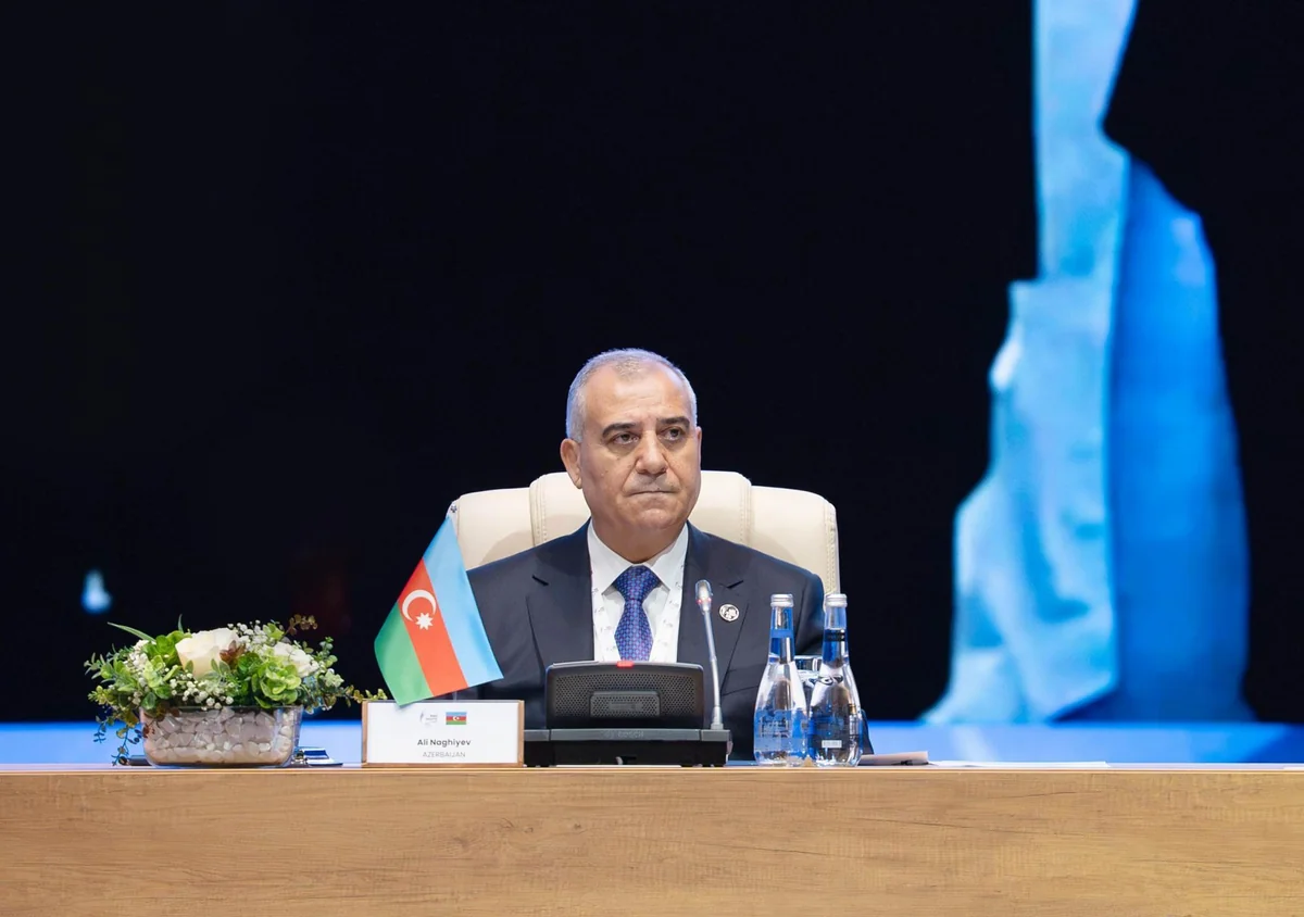 Əli Nağıyev: Beynəlxalq təhlükəsizlikdə ənənəvi mexanizmlər yeni təhdidlərə çevik cavab verə bilmir