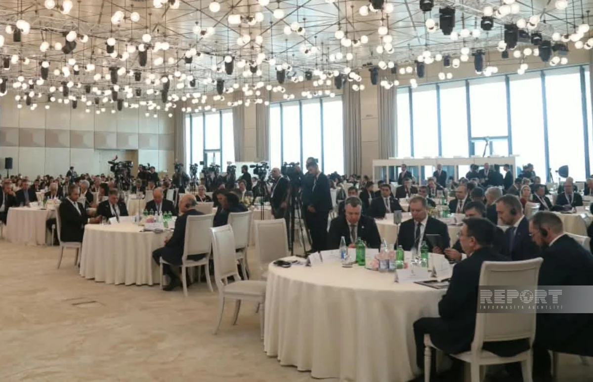 İtkin düşmüş şəxslərlə bağlı Bakı Dialoqu çərçivəsində yekun bəyannamə qəbul edilib 